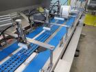 2009 Anko Spring Roll Production Line